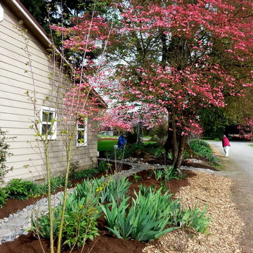 Master Gardener Landscape Makeover Rain Garden