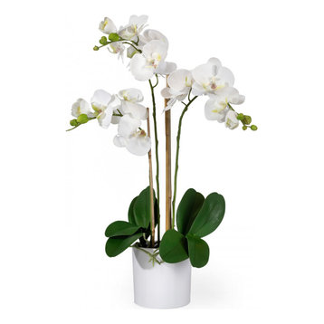 Serene Spaces Living 3 White Phalaenopsis Orchids Pot, 26"
