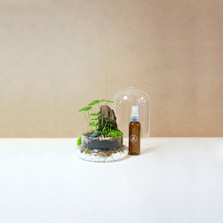 Terrarium in shapes - Products