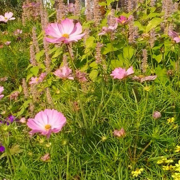 General Landscaping