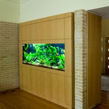 Fish Tanks