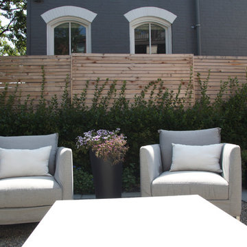 Espaliered euonymus and lounge seating
