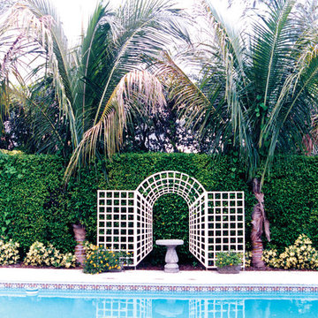 Palm Beach Pool Garden