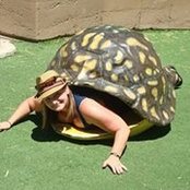 Connie Noss's photo