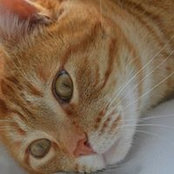Barb Stephenson's photo