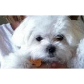 Jane Hunsche's photo