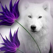 Annick Brabant's photo