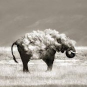 Chris Mazarire's photo