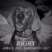 Shannon Bennett's photo