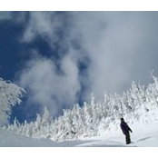 Philippe Laporte's photo