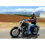 Ghassan Fayad's photo