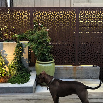 Noe Valley Deck and Garden