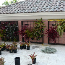 garden wall