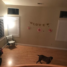 Melissa's ideas