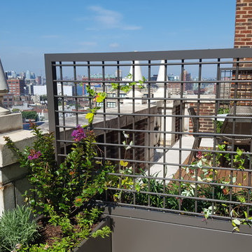 Penthouse with a View