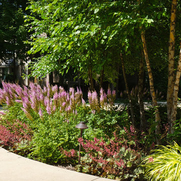 Landscape Design - Plant Combinations