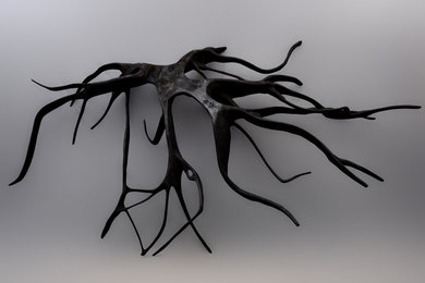 Mahogany Root Collection
