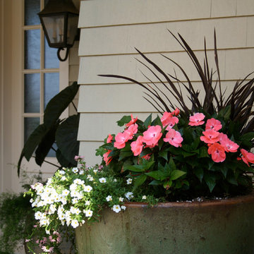 Mixed flowers and foliage in large planters
