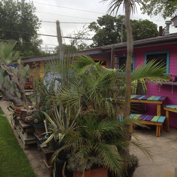 cactus & Succulent Gardens