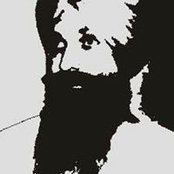 Satwinder Singh's photo