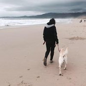 Amber Chan's photo