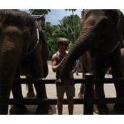 Marcel Niekerk's photo