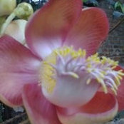 Ravi Ramamoorthy's photo