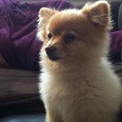 Leslie Janes's photo