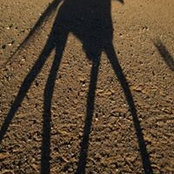 Foto von Rianne Page