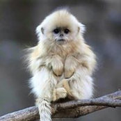 Mike Saylor's photo