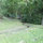443 Hollow Drive