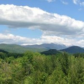 Joe Maribito Jr.'s photo