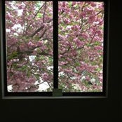 Tricia Jurkiewicz's photo