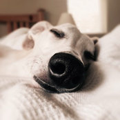 Nora Giulia's photo