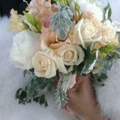 Foto de rose mat
