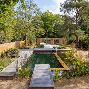 Dulwich Natural Pool