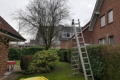 Rückschnitt eines durch Pilzbefall geschädigten Baumes