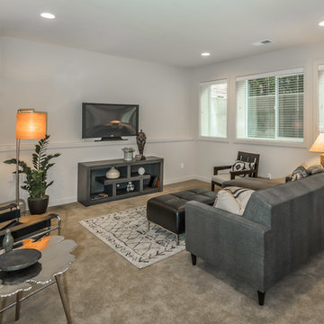 Modern Home Collection