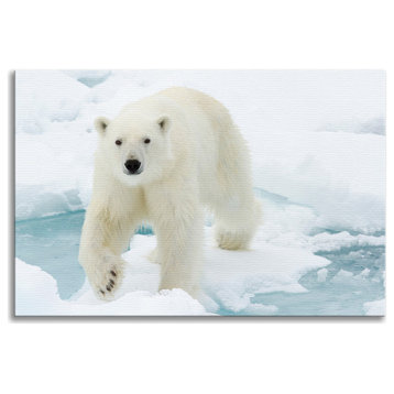 Giant White Polar Bear Walking On Icy Lake Wildlife Photo Canvas Wall Art Print, 24" X 36"