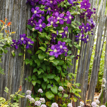 Traditional Backyard Landscape - Fox Point