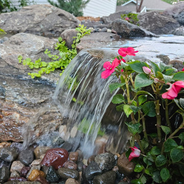 Pond Renovation