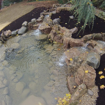 Wisconsin Weathered Moss Rock and Driftwood Ecosystem Pond