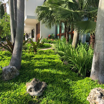 Miami Beach Residence