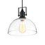 Light Black Farmhouse Pendant Ceiling Fixture With Clear Glass Shade And Wire Industrial