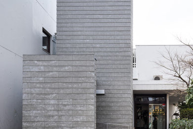 Modelo de fachada de casa gris y gris contemporánea pequeña de dos plantas con revestimientos combinados, tejado de un solo tendido, tejado de metal y tablilla