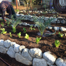 Landscaping Butterfield Mill