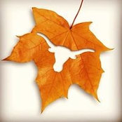 Anjuli Winker's photo