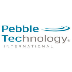 pebble tec repair cost