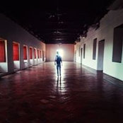 Luis Cotes Carbonell's photo