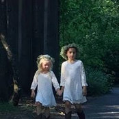 Sherri Pines billede
